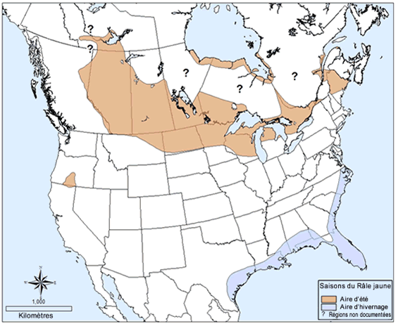 La figure 1 présente une carte de l'aire de reproduction et d'hivernage approximatives du Râle jaune en Amérique du Nord. (Voir description longue ci-dessous.)