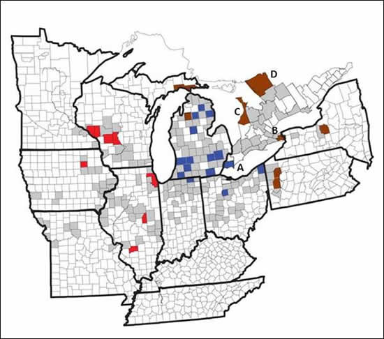 Map of the geographic distribution of haplotype groups (see long description below).