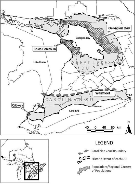 Map of the approximate maximum extent of occurrence of Massasauga (see long description below).