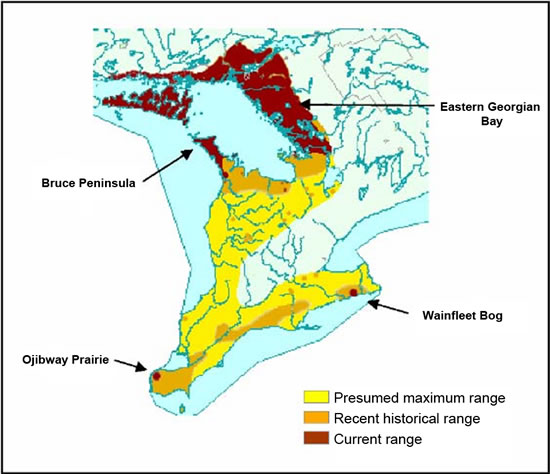 Map showing range-wide decline of the Massasauga (see long description below).