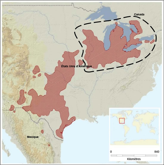 Carte montrant l’aire de répartition mondiale approximative du massasauga (voir description longue ci-dessous).