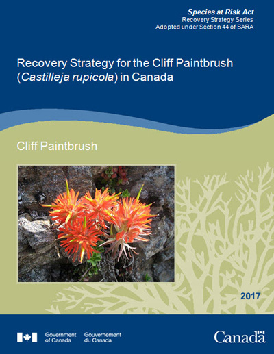 Photo: © Ross Vennesland