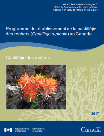 Couverture de la publication