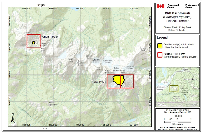 Map of Critical habitat for Cliff Paintbrush in Canada (see long description for details)