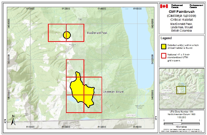 Map of Critical habitat for Cliff Paintbrush in Canada (see long description for details)