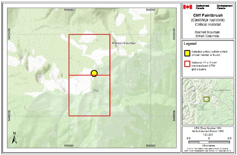 Map of Critical habitat for Cliff Paintbrush in Canada (see long description for details)