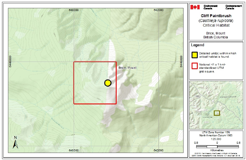 Map of Critical habitat for Cliff Paintbrush in Canada (see long description for details)
