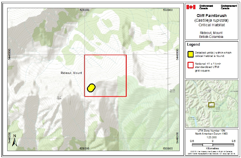 Map of Critical habitat for Cliff Paintbrush in Canada (see long description for details)