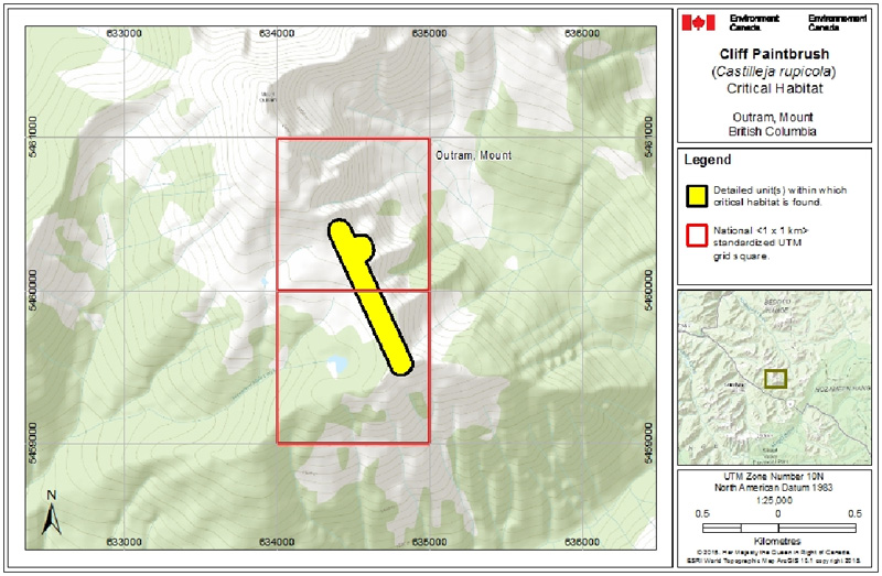 Map of Critical habitat for Cliff Paintbrush in Canada (see long description for details)