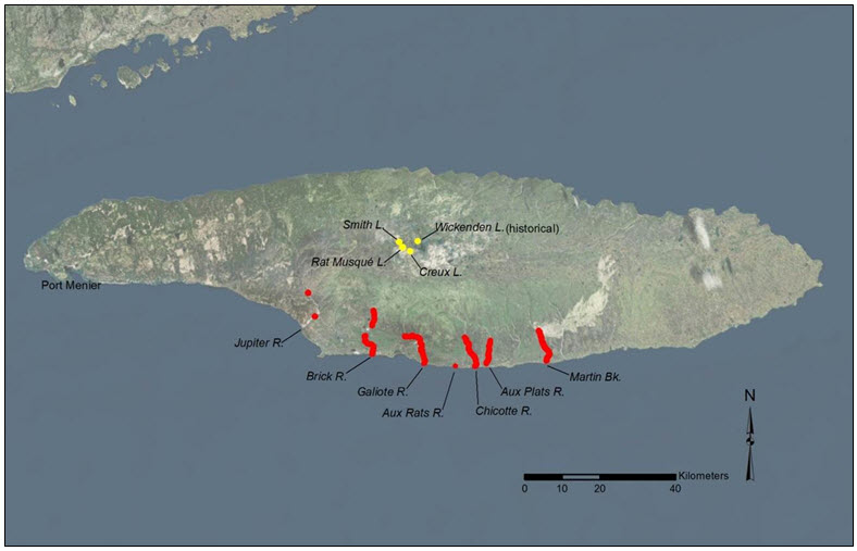 Known distribution of Anticosti Aster on Anticosti Island, QC