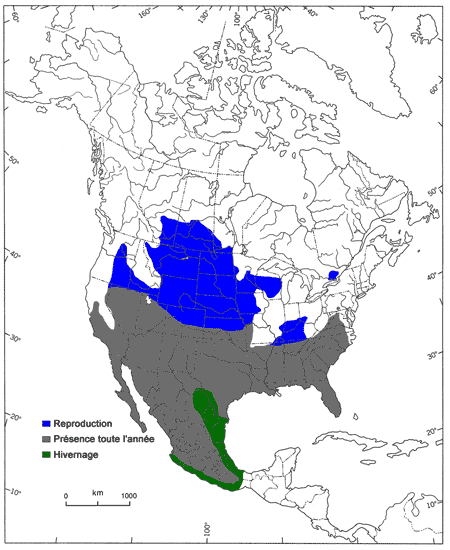Figure 1. Aire de répartition totale de la Pie-grièche migratrice en Amérique du Nord (d’après Yosef, 1996).