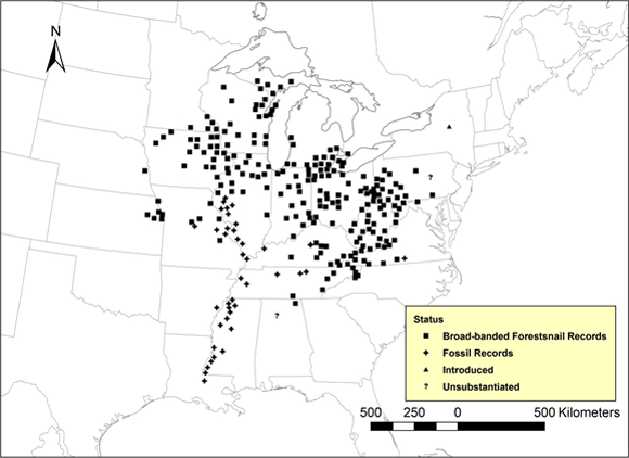 Global range of Broad-banded Forestsnail