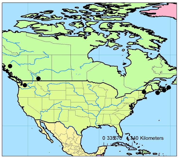 Map of North America showing the distribution of Sclerophora peronella
