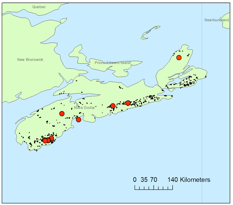 Map of Nova Scotia showing known occurrences of Sclerophora peronella