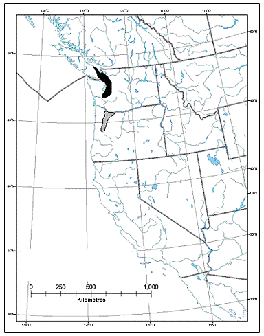 Figure 2.Aire de répartition mondiale de la castilléjie dorée(la zone noire illustre l’aire de répartition contemporaine, tandis que la zone grise montre l’emplacement des populations disparues, à&nbsp;partir&nbsp;de&nbsp;la&nbsp;gorge de Columbia vers le sud; tiré de Caplow [2004])