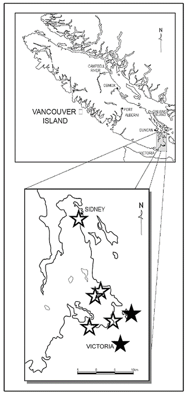 Figure 3. Distribution map of golden paintbrush in Canada(solid stars indicate extant locations; open stars represent extirpated populations)
