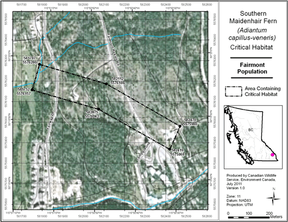 Figure A1 is a map that displays the area which contains critical habitat for Southern Maidenhair Fern.  The location is found in the southeast part of British Columbia.