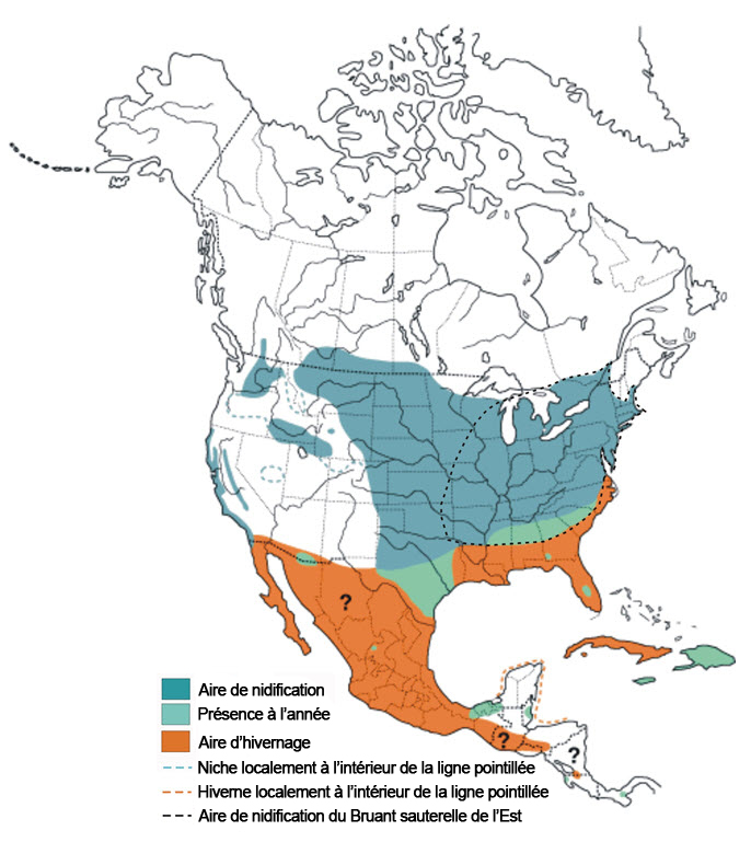 Insérer le texte ici.
