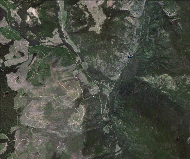 Aerial image of cutblocks along the Ashnola River (see long description below)