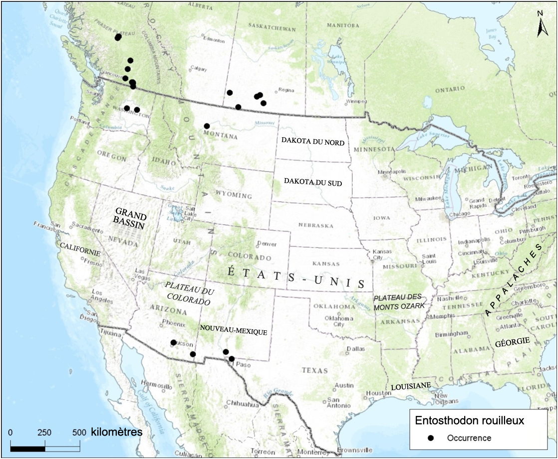 Répartition canadienne de l’entosthodon  rouilleux.