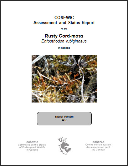 COSEWIC Assessment and status report on the Rusty Cord-moss