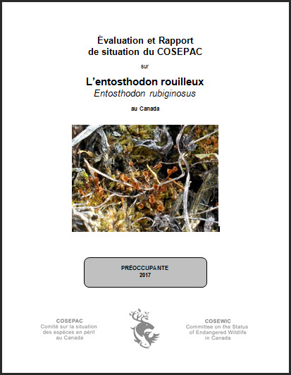 Évaluation et rapport de situation du COSEPAC sur l’entosthodon rouilleux