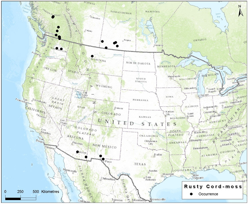 Documented locations of Rusty Cord-moss in  North America