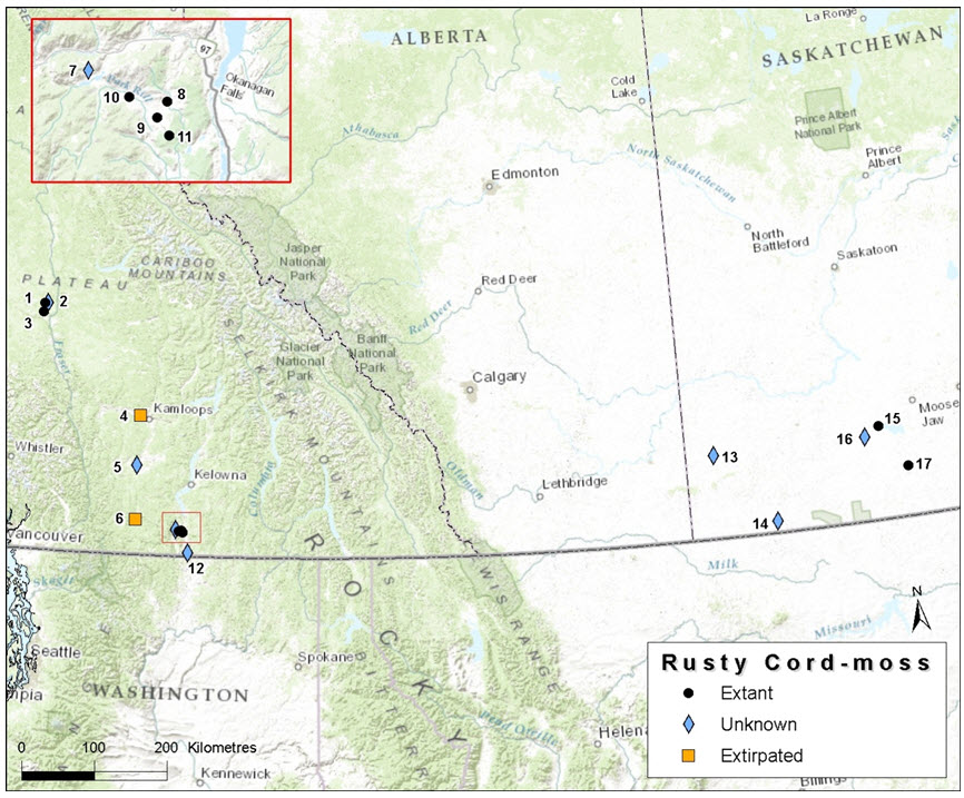 Canadian distribution of Rusty Cord-moss