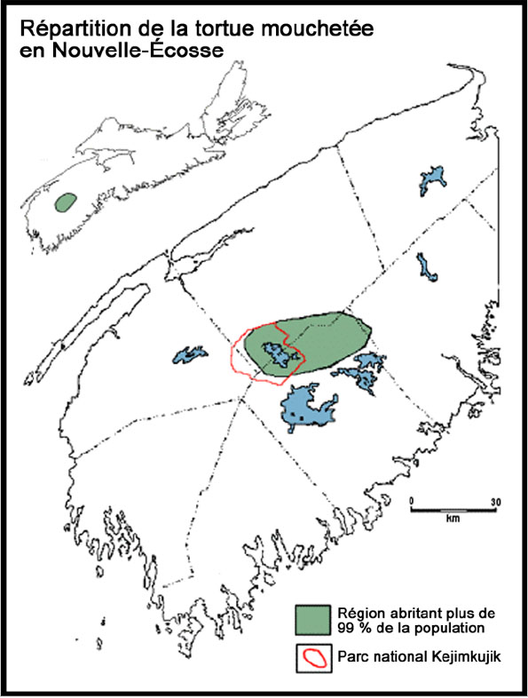 Figure 4 : Répartition de la tortue mouchetée (Emydoidea blandingii) en Nouvelle-Écosse.