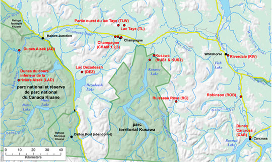Localités du carex des sables au Yukon 2011 (Voir description longue ci-dessous.)