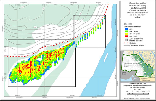 Densités de carex des sables sur les dunes Alsek (Voir description longue ci-dessous.)