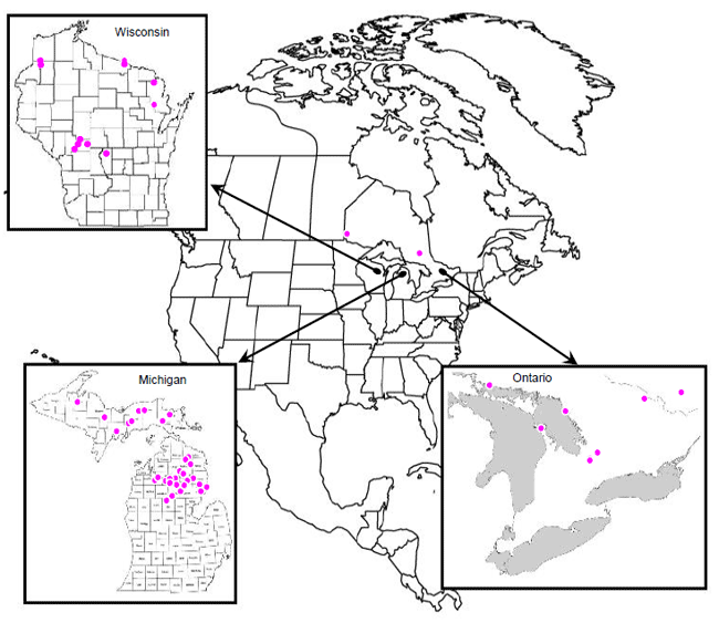 Figure 1. Distribution des occurrences de reproduction de la Paruline de Kirtland au Wisconsin, au Michigan et dans le sud de l’Ontario (J. Trick, comm. pers., 2007; T. Hogrefe, comm. pers., 2007; P. Aird, comm. pers., 2007; K. Tuininga, comm. pers., 2007).
