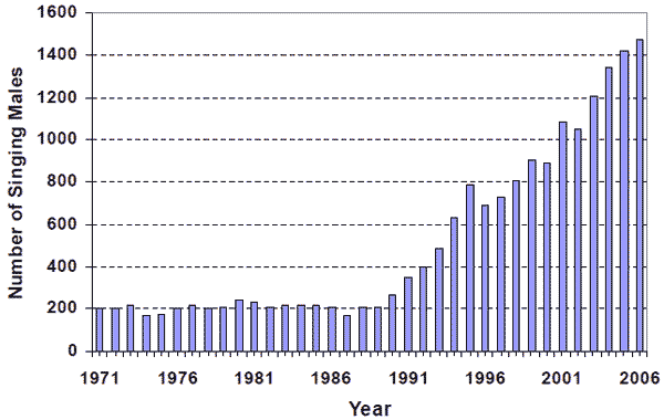 Figure 2. Survey of singing male Kirtland’s Warblers inMichigan1951-2006 (Michigan Department of Natural Resources 2007; T. Hogrefe, pers. comm. 2007).
