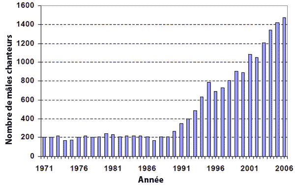 Figure 2.&nbsp; Relevé des Parulines de Kirtland (mâles chanteurs) au Michigan de 1951 à 2006 (Department of Natural Resources du Michigan, 2007; T. Hogrefe, comm. pers., 2007)