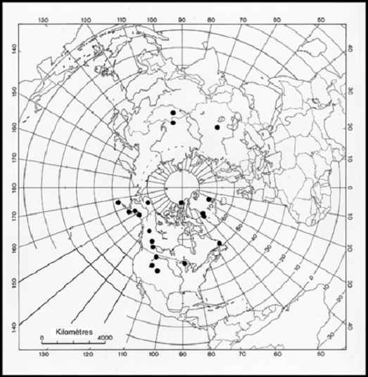 Figure 4.  Répartition mondiale du Mielichhoferia macrocarpa