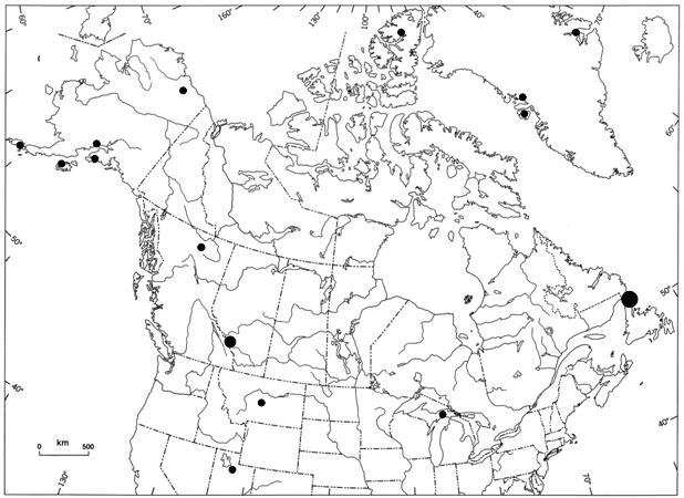 Figure 5.  Répartition du Mielichhoferia macrocarpa au Canada et dans le nord des États-Unis