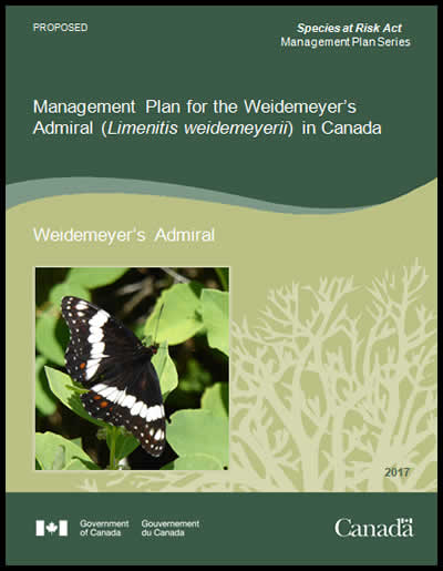 Image of document cover