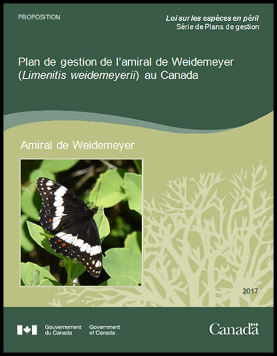 Photo de couverture de document