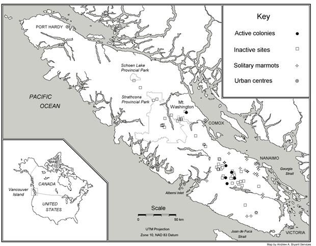 Figure 2. Present and historical distribution ofVancouver Islandmarmots. Inactive sites illustrate colony records from 1896-2006. Solitary marmots likely represent dispersing individuals.