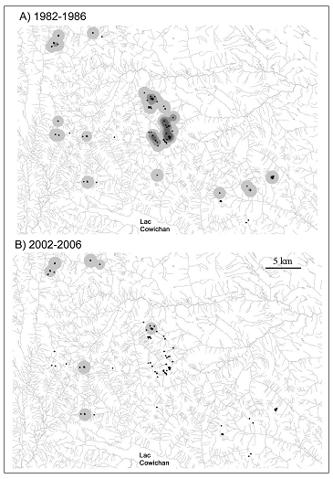 Figure 6.  Changements dans la densité et la répartition des marmottes dans la région des lacs Nanaimo. La région illustrée est d’une superficie de 1 127 km². Sont indiquées les densités moyennes d’adultes sur deux périodes de cinq ans. Les zones ombragées correspondent, de la plus pâle à la plus foncée, à des densités faibles (de 0,1 à 5 adultes/km²), moyennes (de 5,1 à 10 adultes/km²) et élevées (de 10,1 à 20 adultes/km²).