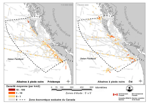 Carte montre les densités moyennes d'Albatros à pieds noirs. Voir la description longue de la figure 2 ci-dessous