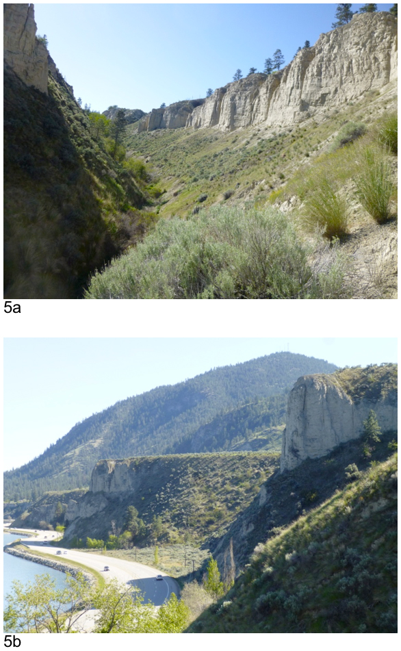 Two photos illustrating Tiny Tassel habitat in south-central British Columbia