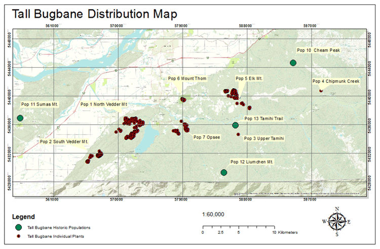 Map of distribution of tall bugbane in British Columbia