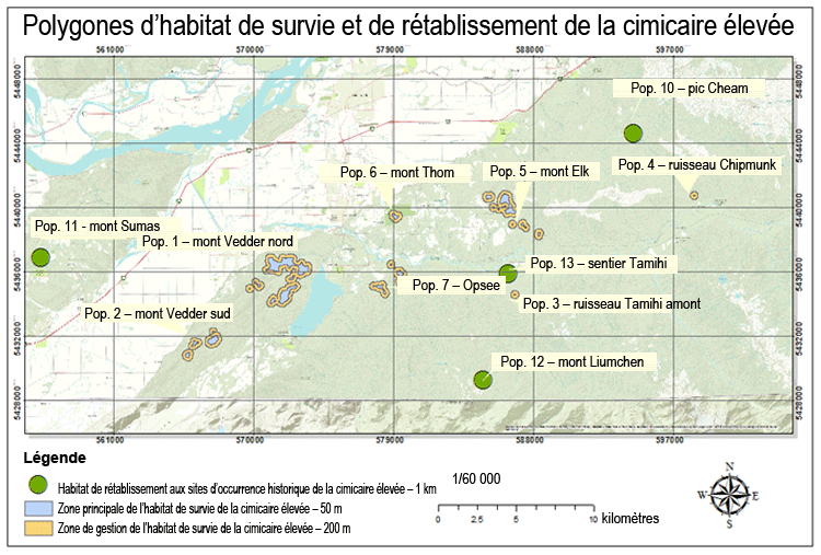 Carte de habitat de survie et de rétablissement de la cimicaire élevée.