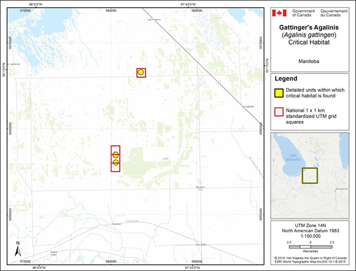 XXXXXXXXXXX (see long description below)