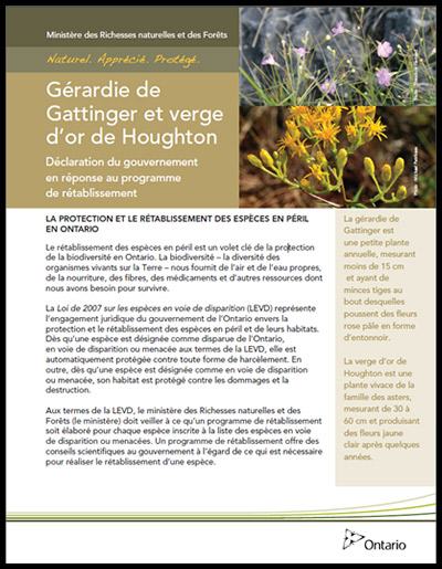 Photo de couverture de document