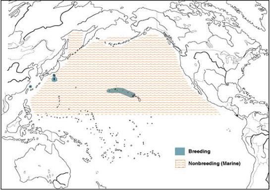 Figure 2. Global range of the Black-footed Albatross (from Whittow 1993).