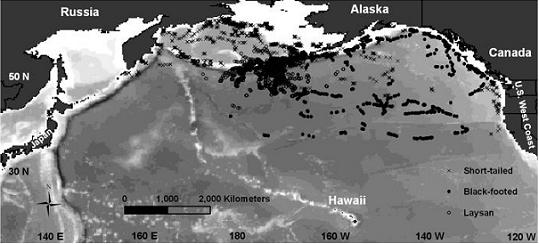 Figure 3.  North Pacific Ocean, showing multiple fixes for three species of albatrosses (BFAL, n=10) tracked with satellite transmitters in summer 2005.