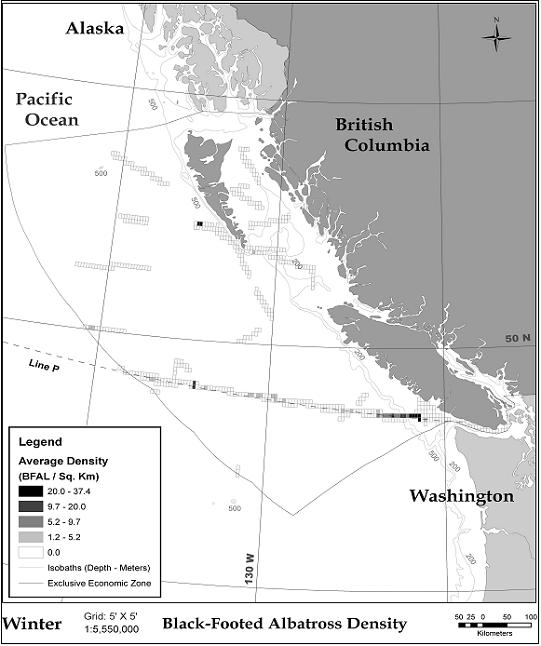 Figure 4.  Black-footed Albatross density in Canadian waters, winter survey tracks (16 Dec – 15 Mar). Source: Environment Canada, Pacific and Yukon Region.