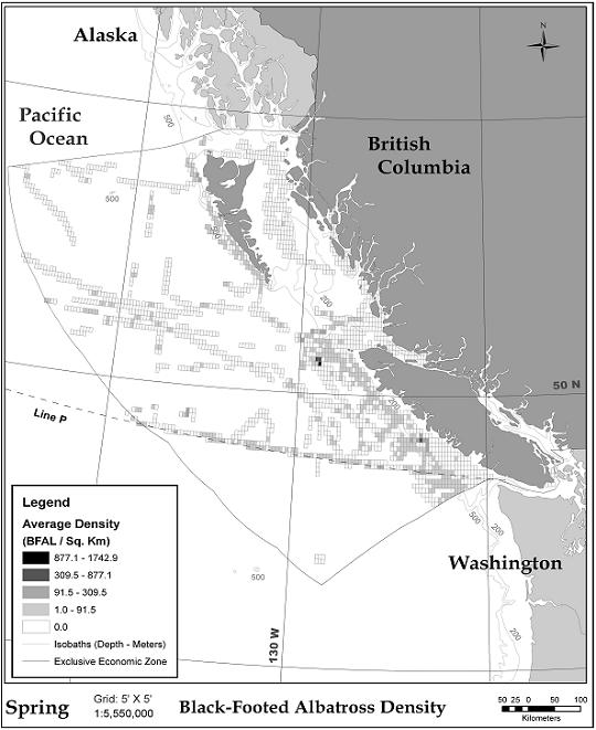 Figure 5.  Black-footed Albatross density in Canadian waters, spring survey tracks (16 Mar – 15 Jun). Source: Environment Canada, Pacific and Yukon Region.